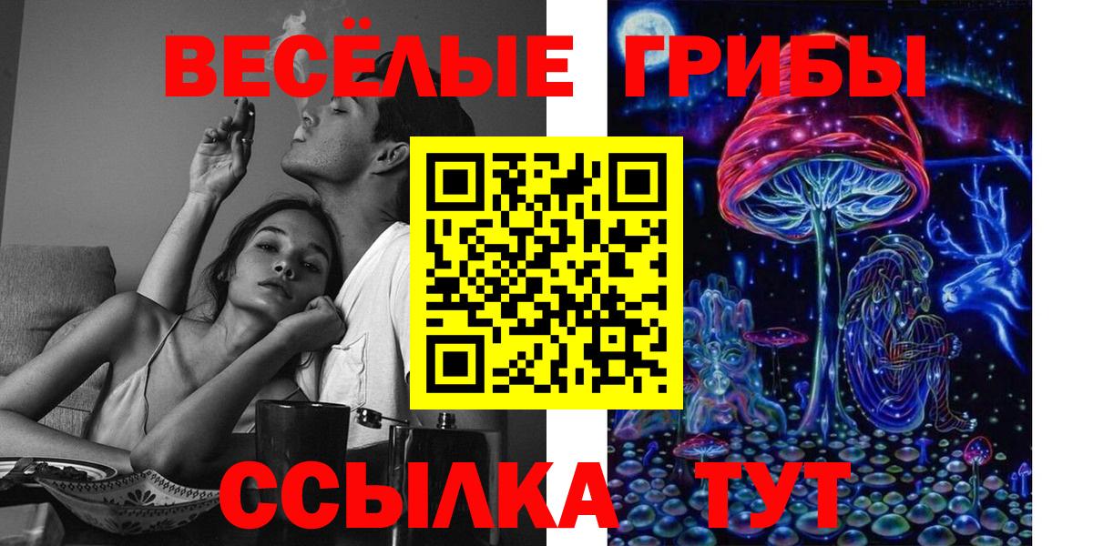 Галлюциногенные грибы Psilocybe  Вход с VPN  Псилоцибиновые грибы MAGIC MUSHROOMS  Ртищево 