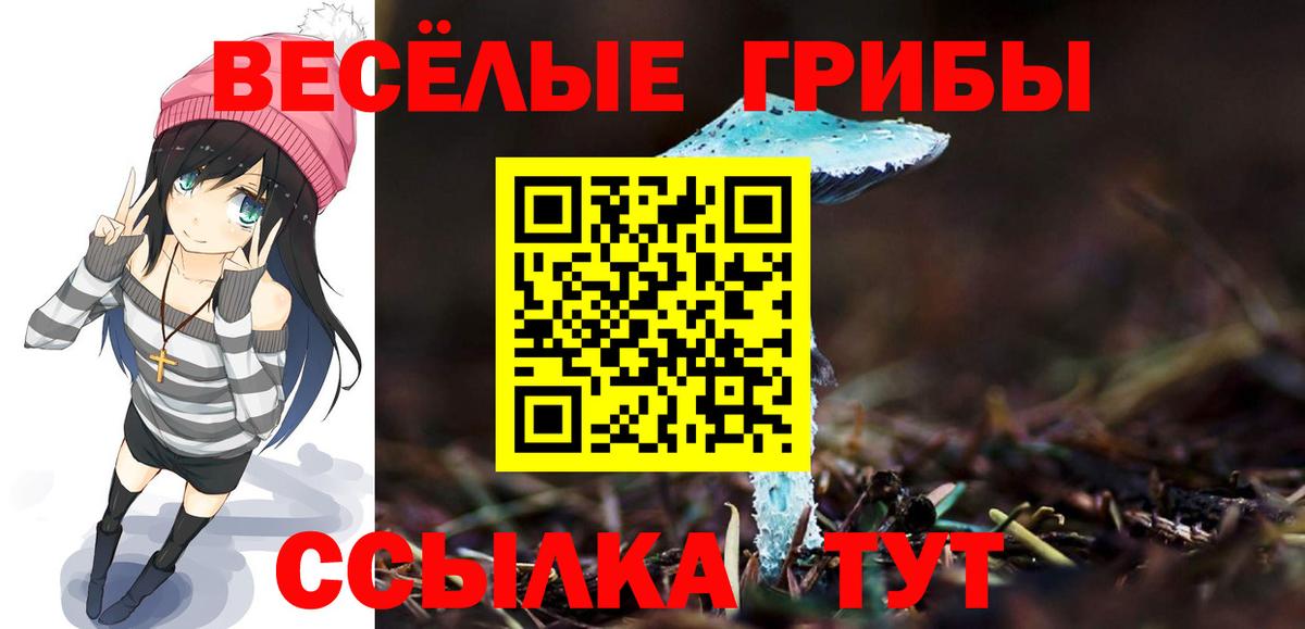 Галлюциногенные грибы Cubensis Ртищево
